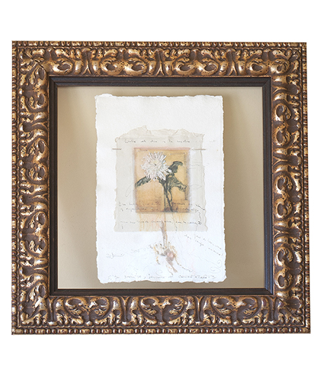 Colecciones particulares - Maria Roca