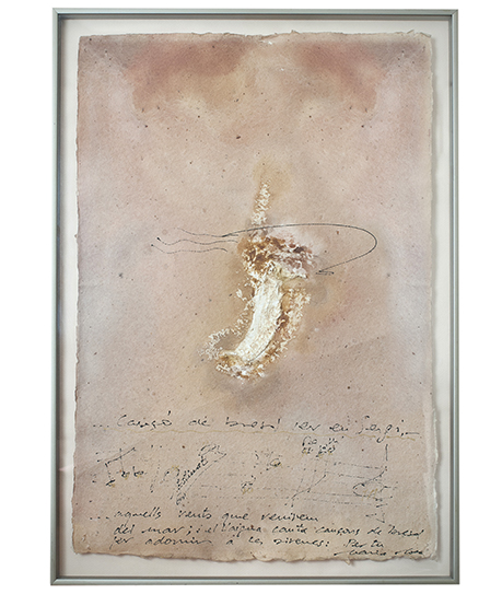 Colecciones particulares - Maria Roca